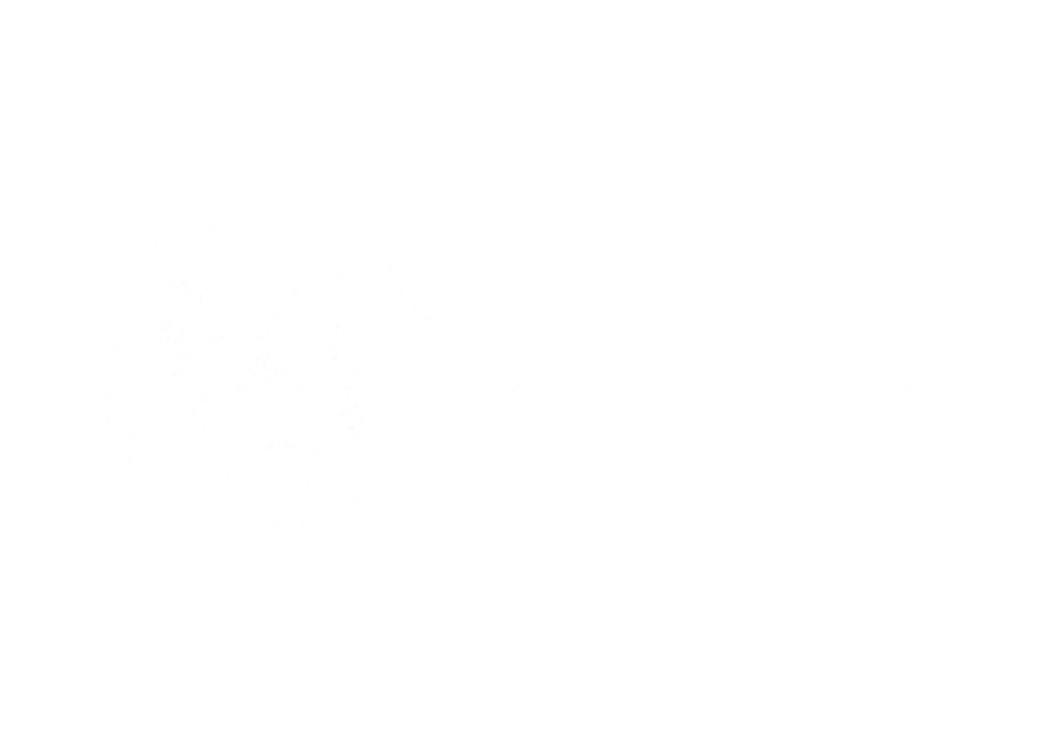 Università degli Studi di Palermo