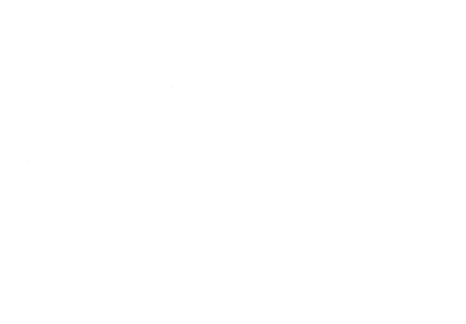 Università di Pisa