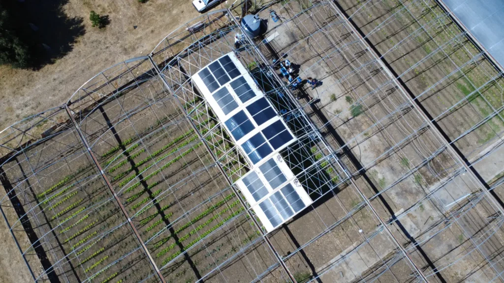 AGROLIFE, fondazione nest, progetto Spoke 1, partenariato, transizione energetica