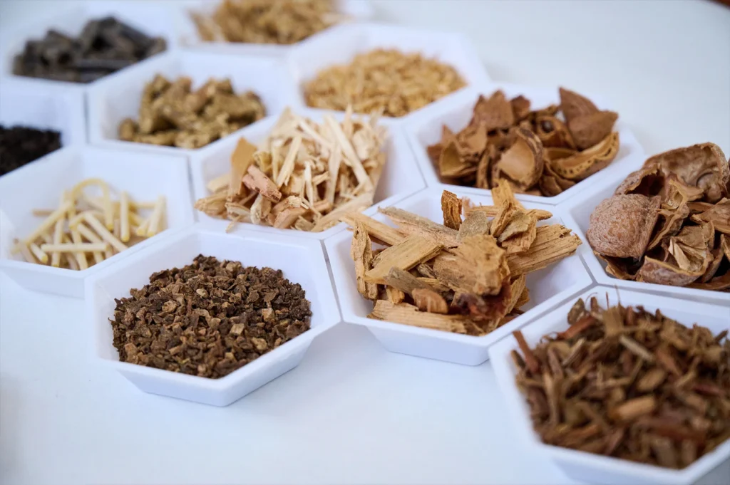 Bioenergy School