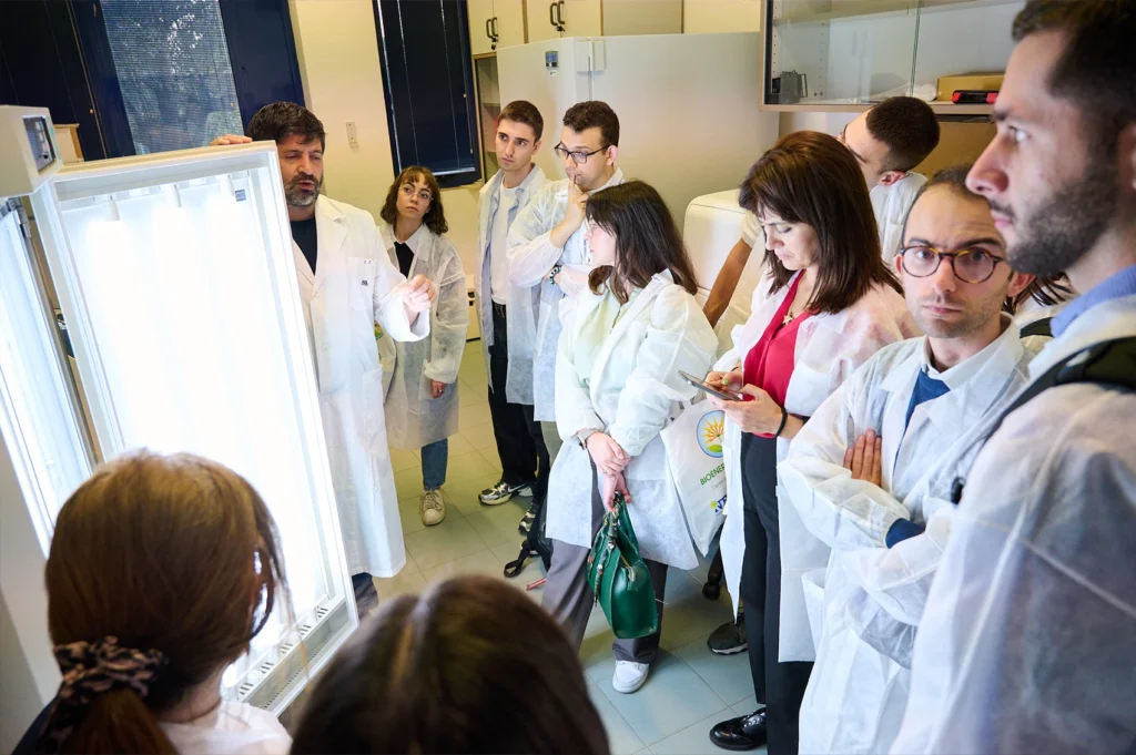 Bioenergy School