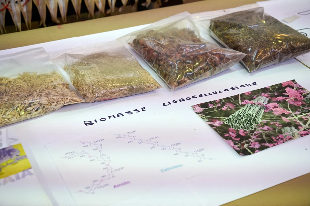 Bioenergy School