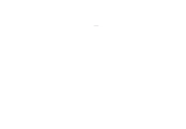 Quantum Leap